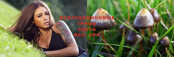 мяу мяу кристалл Баксан